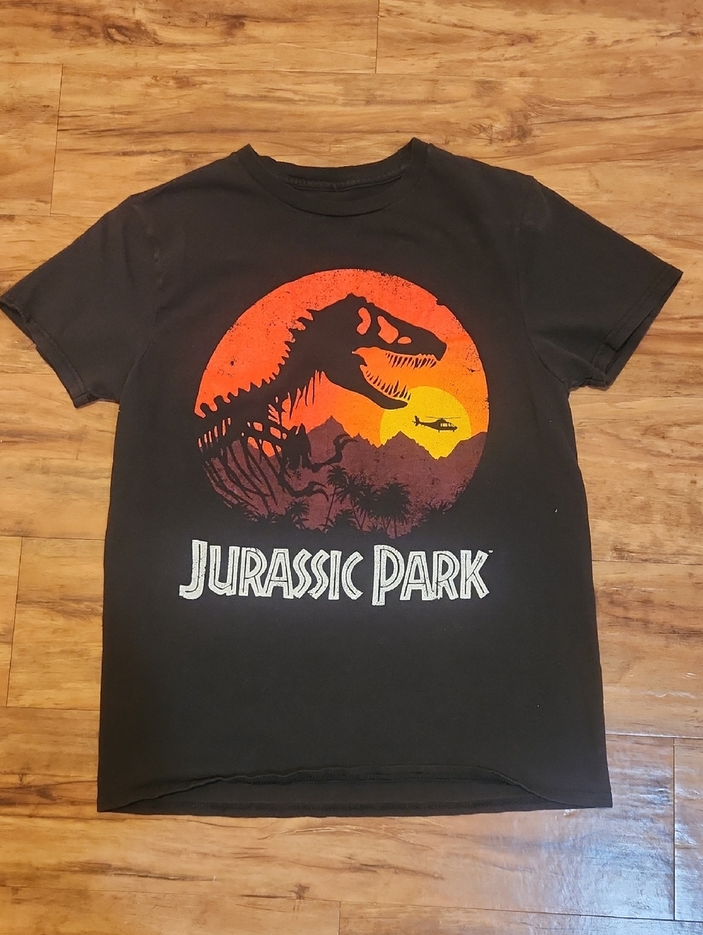 Orginal Jurassic Park Black Graphic Tee